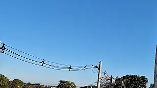 Temperatura máxima deve subir até 15ºC durante o domingo em Campo Grande