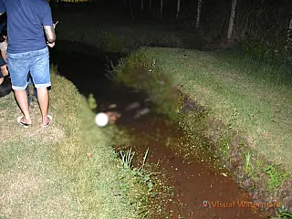 'Menor' é assassinado a tiros horas após ganhar liberdade em Maracaju