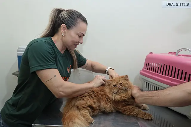 Consultório Móvel oferece atendimento veterinário gratuito no Jardim Carioca