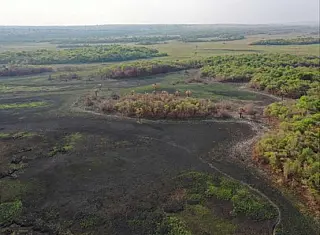 MPMS cobra R$ 24,6 milhões de empresa por incêndio em reserva ambiental