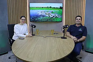 JD1TV: Quanto custa produzir um bezerro? Momento de alta favorece cálculo do ágio da operação