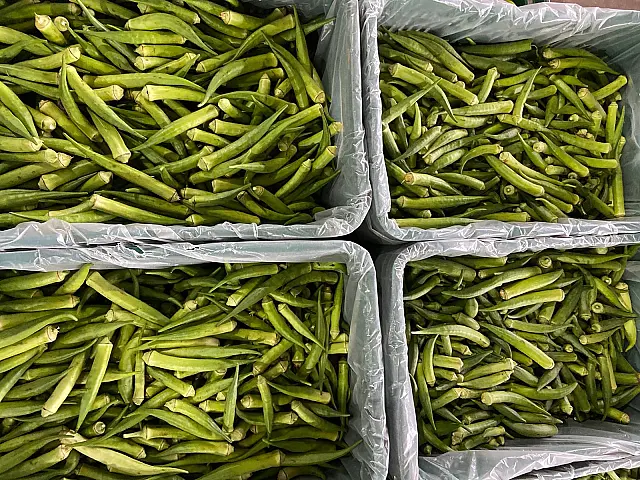 Quiabo dispara 20% e puxa alta dos hortifrútis na Ceasa/MS