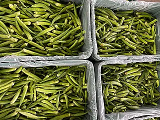 Quiabo dispara 20% e puxa alta dos hortifrútis na Ceasa/MS