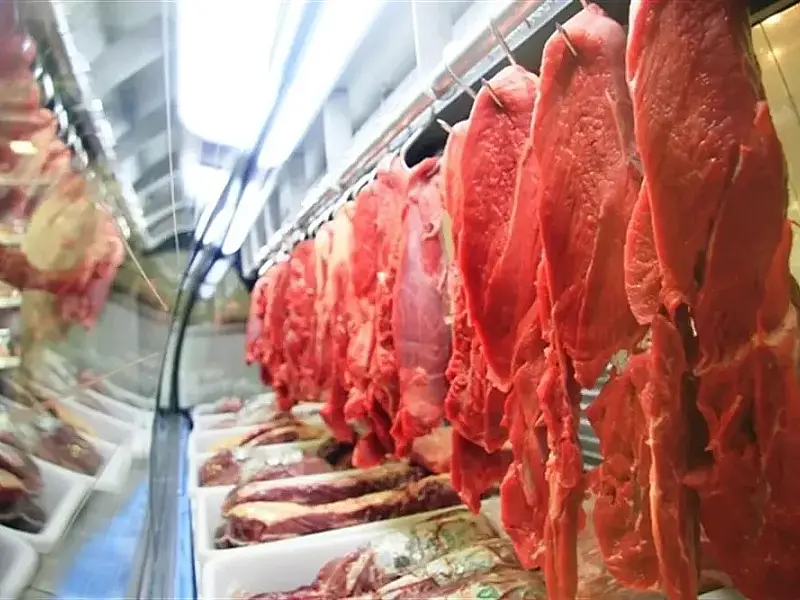 Senado reforça articulação para atender exigências da União Europeia sobre carne brasileira