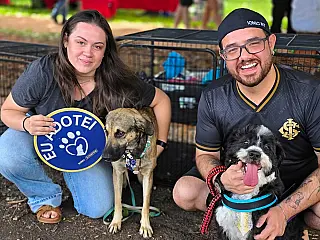Feira de adoção leva cães resgatados à Praça Bolívia neste domingo