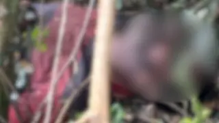 Corpo em avançado estado de decomposição é encontrado em fazenda de Caarapó