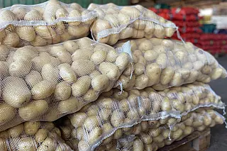 Tomate e manga sobem na Ceasa, mas batata e cebola ficam mais baratas