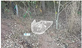 Polícia confirma cinco presos que confessaram por morte de jovem decapitado em Sonora