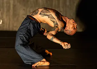 Cia do Mato abre inscrições para oficina gratuita de dança contemporânea na Capital