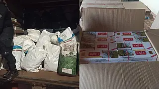 Denúncia leva GCM a depósito com cigarros, agrotóxicos e maconha no Tijuca