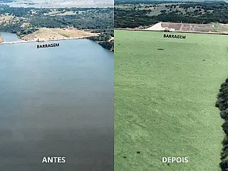 MP manda empresa recolher vegetação aquática espalhada pelo Rio Pardo em MS