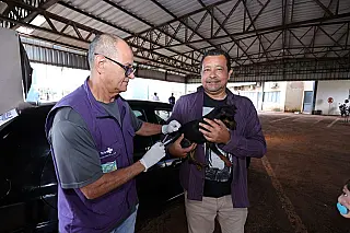 Cinco locais recebem vacinação antirrábica para cães e gatos nesta sexta em Dourados