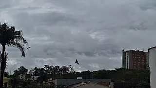 Campo Grande acumula mais de 30 milímetros de chuva e segue sob alerta laranja para tempestades
