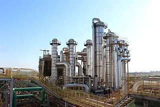 Setor de bioenergia cresce 252% em empregos e produção dispara em MS