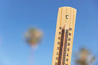 Calor e baixa umidade aumentam desconforto de quem sofre com rinite em MS