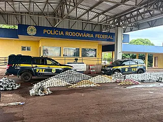 Carga de minério escondia quase uma tonelada de drogas em Miranda
