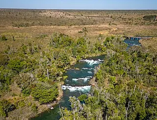 MP cria unidade para reforçar proteção ambiental do Pantanal em MS