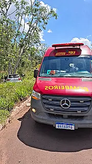 Casal de SP fica ferido após carro sair da pista e bater em árvore na BR-262