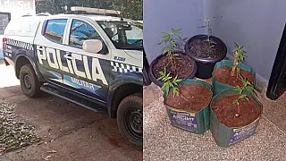 Homem é preso após cometer dois estupros em uma semana em Selvíria