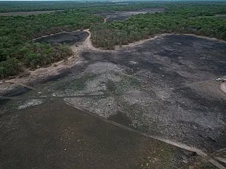 Incêndios atingem mais de mil hectares e avançam sobre parque no Pantanal de MS
