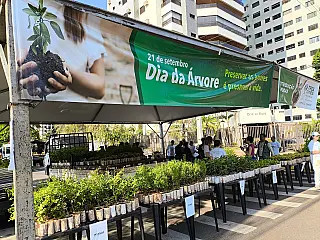 Drive-thru entregará 10 mil mudas frutíferas neste sábado