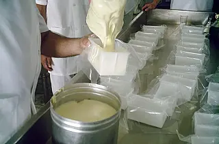 Inscrições abertas para curso gratuito de requeijão de copo em Campo Grande