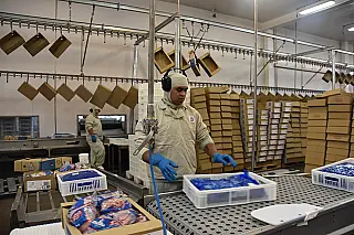 Produção de carne bovina bate recorde histórico em Mato Grosso do Sul
