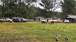 Destruição de lavouras e rebanhos pode virar crime de terrorismo rural