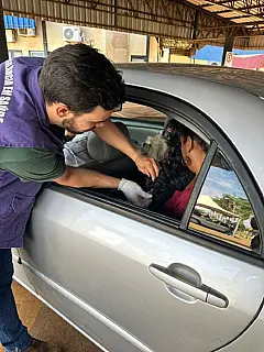 Atenção, Dourados: Prefeitura faz drive-thru para vacinar cães e gatos contra a raiva