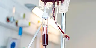 Testemunhas de Jeová flexibilizam regras sobre doação e transfusão de sangue