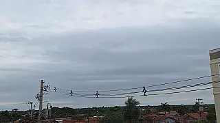 Frente fria derruba temperaturas e traz chuva e temporais para MS neste domingo