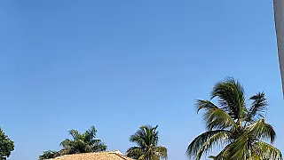 Calor e ar seco podem piorar sintomas de rinite em MS; veja cuidados