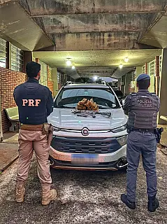 Quase 5 toneladas de maconha e fuzil são apreendidos em MS e SP