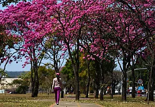 Primavera de 2026 começa com alerta para calor extremo e temporais em Mato Grosso do Sul