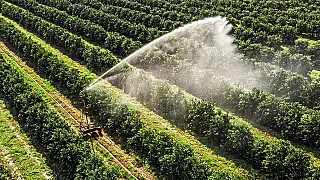 Restrições no abastecimento internacional de fertilizantes prioriza busca por produtos já nacionalizados