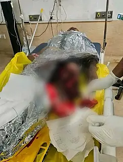 Crocodilo ataca tratador durante alimentação e homem morre