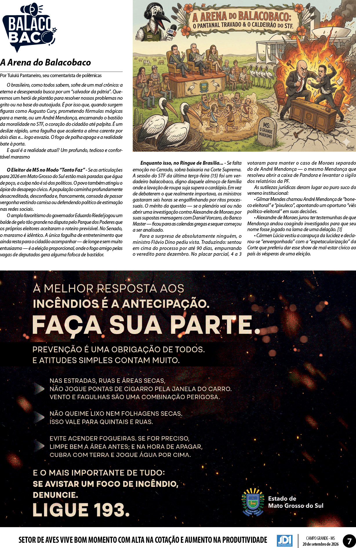 Página 7
