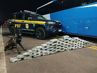 Operação da PRF apreende mais de 300 kg de drogas em MS