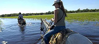 Especialistas apresentam 27 salvaguardas para proteção do Pantanal