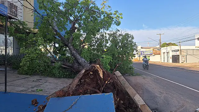 “Falhas simultâneas” acendem alerta sobre infraestrutura de Campo Grande