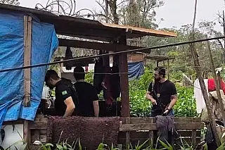 Menina de 2 anos morre após ser atacada a marteladas dentro de casa