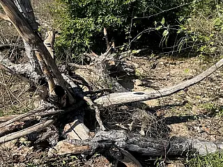 MPMS apura desmatamento de 756 hectares do Pantanal em Corumbá