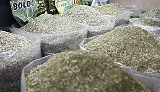 Tereré caro? Erva-mate apresenta maior variação na pesquisa do Procon em Dourados