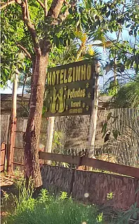 MP recomenda suspensão de novos animais em hotel para cães após morte e agressões em Bonito