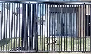 Brasileiros são mortos a tiros por pistoleiros na Bolívia