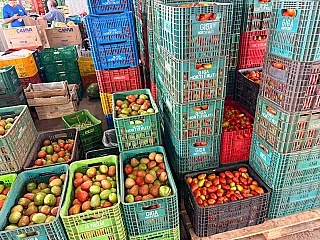 Chuvas pesam no bolso, hortaliças sobem e caixa de tomate chega a R$ 200 na Ceasa/MS