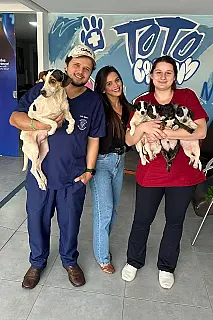 Cachorrinha Luna e filhotes são resgatados e recebem atendimento veterinário