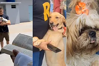 Com fé e carinho, Paróquia Santa Clara realiza bênção de animais em Campo Grande