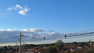 Sábado terá calor de até 31°C e possibilidade de temporais em MS