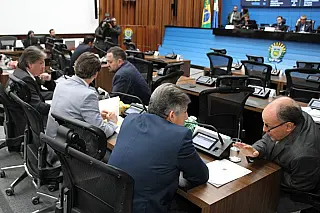 Assembleia vota criação do Dia do Tatu-Canastra e regras para pedágios